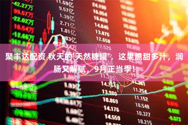 聚丰达配资 秋天的‘天然糖罐’，这果脆甜多汁，润肠又解腻，9月正当季！