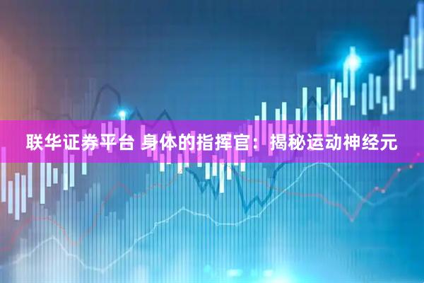 联华证券平台 身体的指挥官：揭秘运动神经元